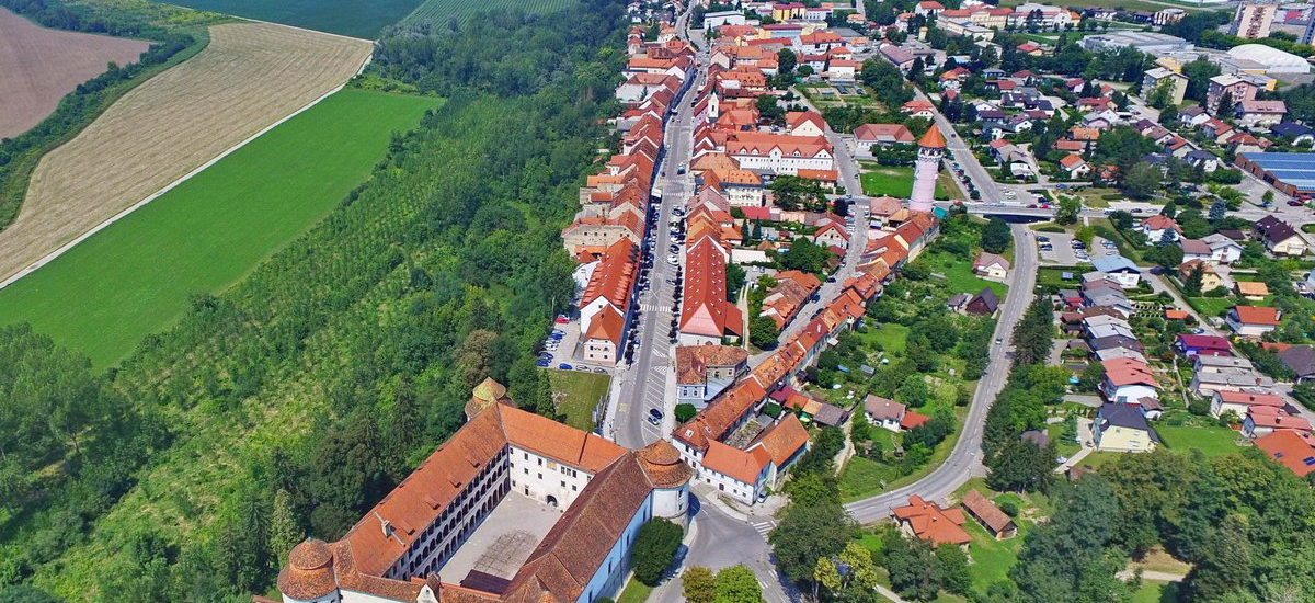 Lokosi spet na Rogli, drevi v Rušah